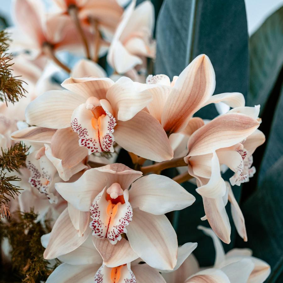 Villa Orchid Garden Riverside Hoi An Bagian luar foto